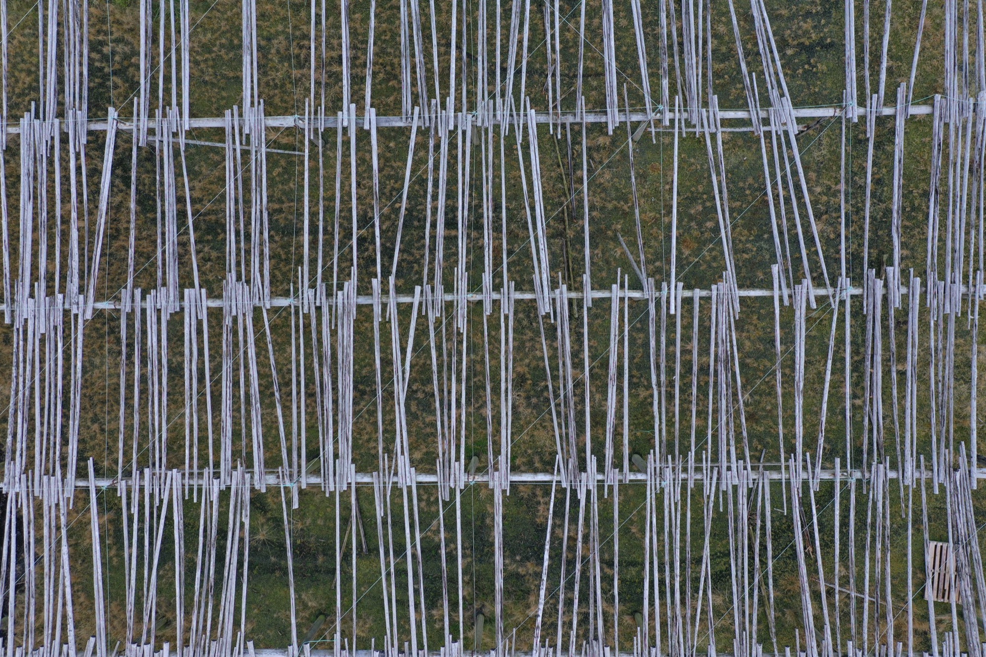 Haustak's drying plant on the Reykjanes Peninsula, seen from the air